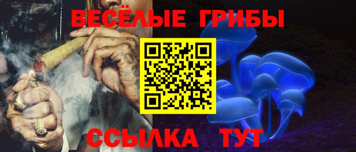 Псилоцибиновые грибы мицелий  Вход с VPN  где купить наркотик  Борисоглебск 
